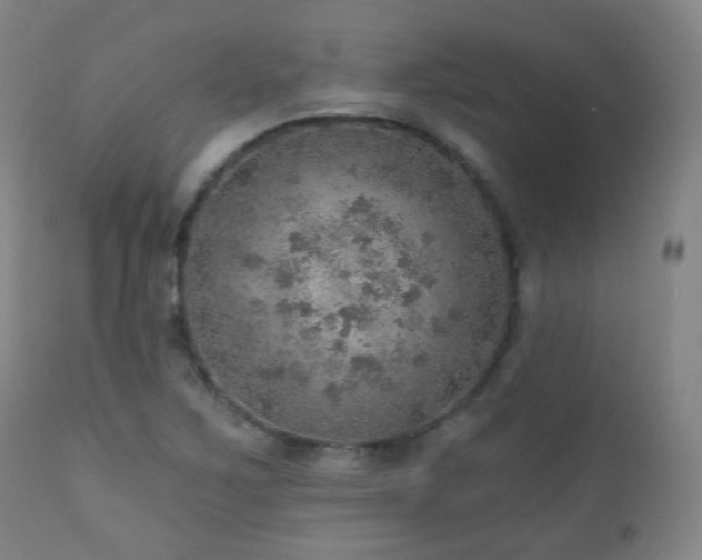 X0000110981267200906191356