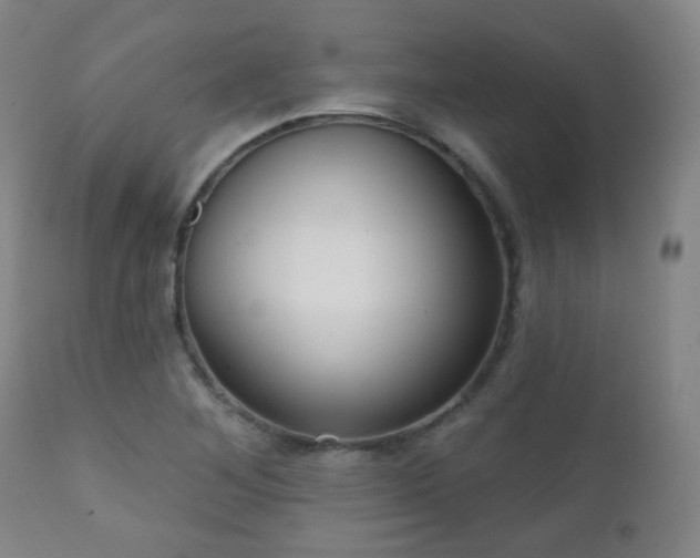 X0000110981268200906191356