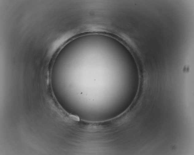 X0000110981269200906191356