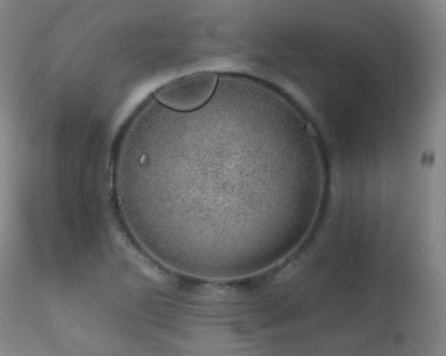 X0000110981270200906191356