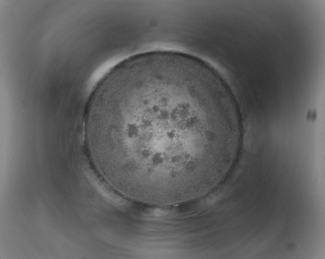 X0000110981271200906191356