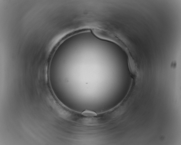 X0000110981272200906191356