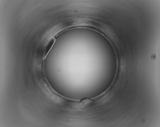 X0000110981273200906191356