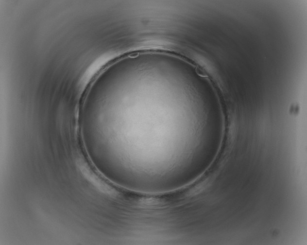 X0000110981275200906191356