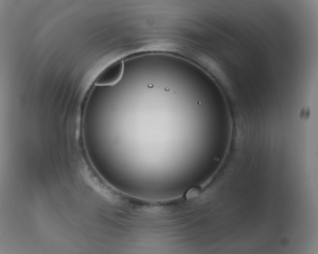 X0000110981276200906191356