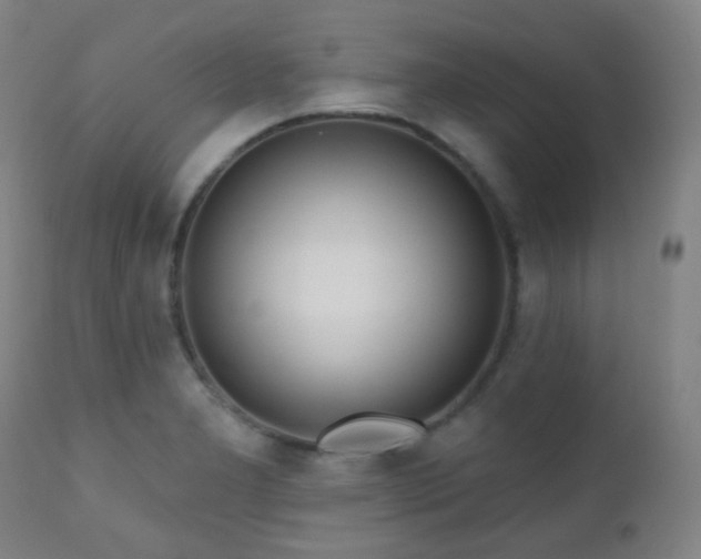 X0000110981277200906191356