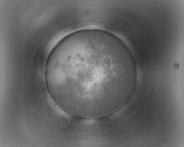 X0000110981278200906191356