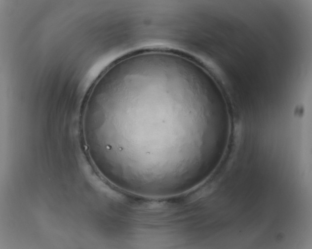 X0000110981279200906191356