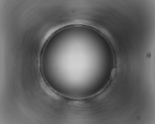 X0000110981280200906191356