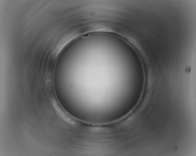 X0000110981281200906191356