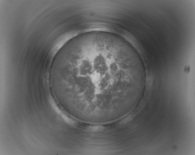 X0000110981282200906191355