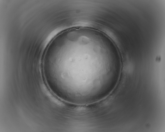 X0000110981283200906191355