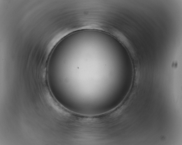 X0000110981284200906191355