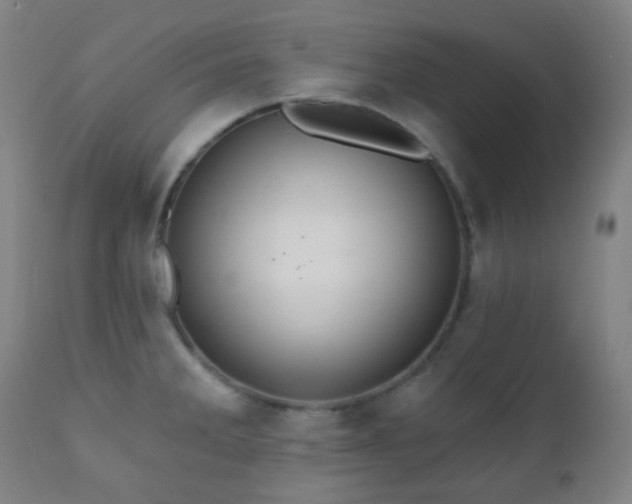 X0000110981285200906191355