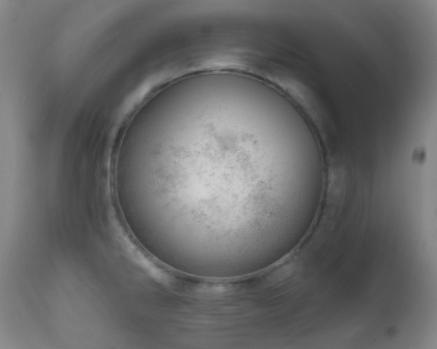 X0000110981286200906191355