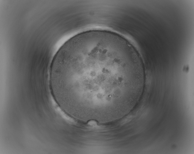 X0000110981287200906191355