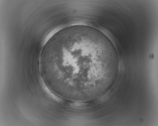 X0000110981290200906191355