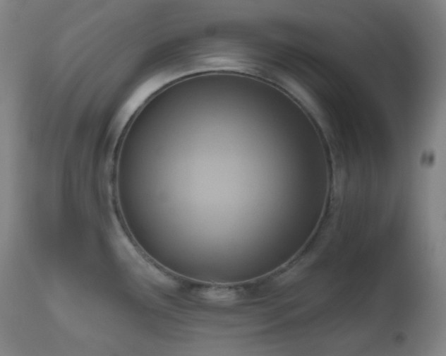 X0000110981291200906191355