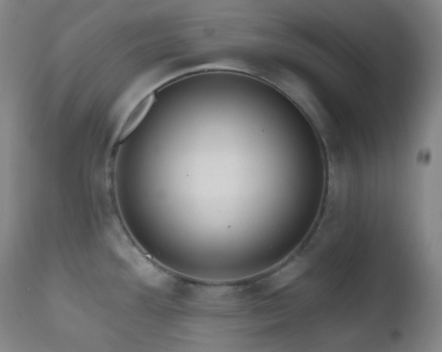 X0000110981292200906191355