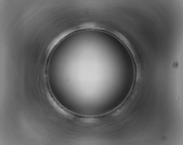 X0000110981293200906191355