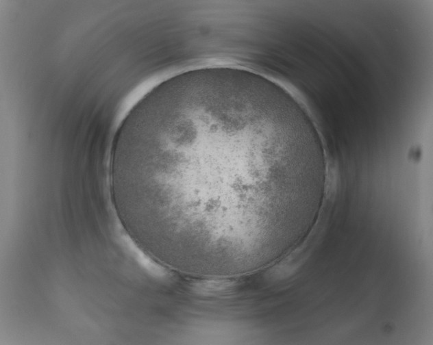 X0000110981294200906191355