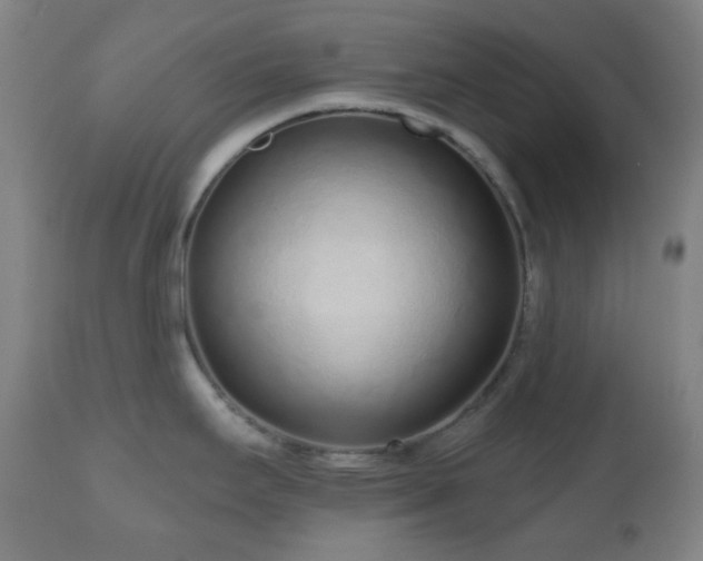 X0000110981295200906191355