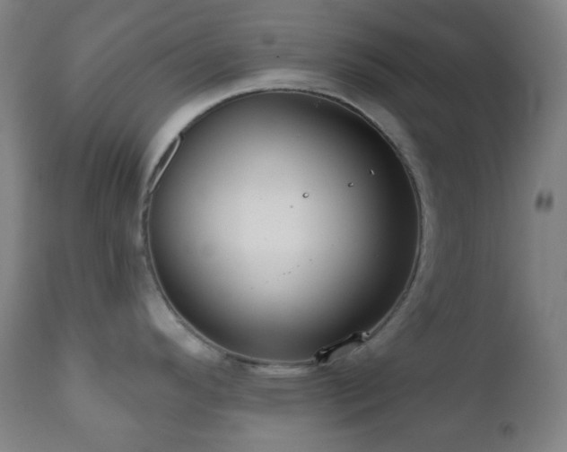 X0000110981296200906191355