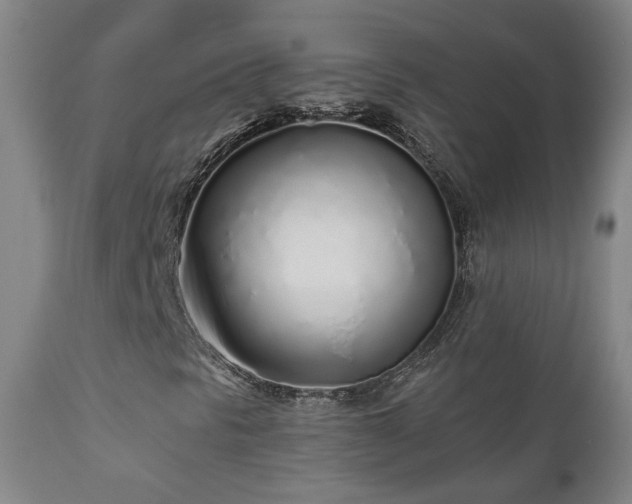 X0000110981297200906191355