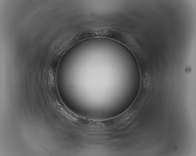 X0000110981298200906191355