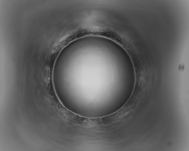 X0000110981301200906191355