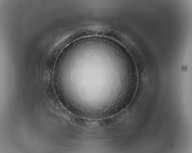 X0000110981302200906191355