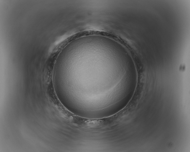 X0000110981303200906191355