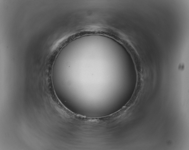 X0000110981304200906191355