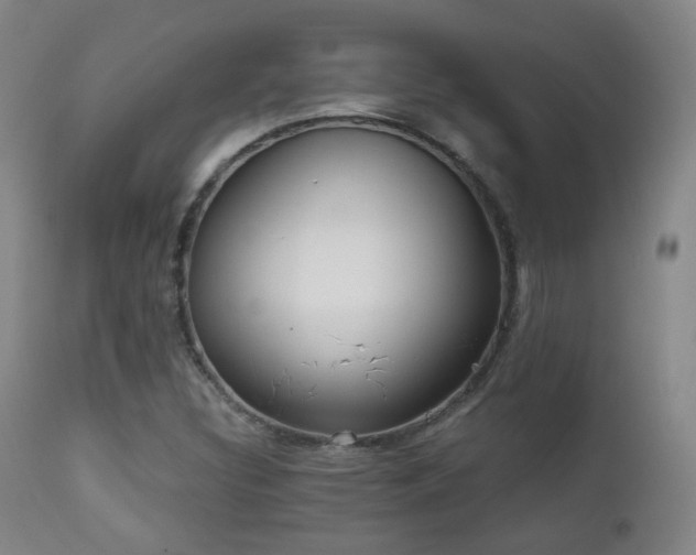 X0000110981308200906191355