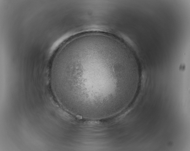 X0000110981310200906191355