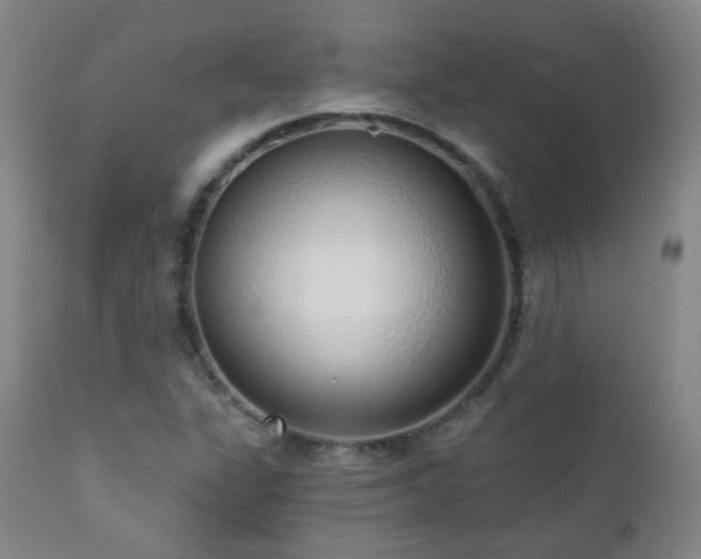 X0000110981311200906191355