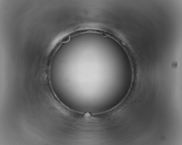 X0000110981312200906191355