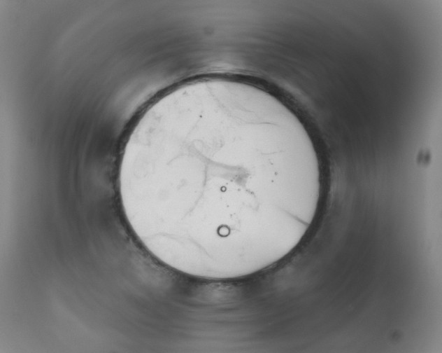 X0000110981314200906191355