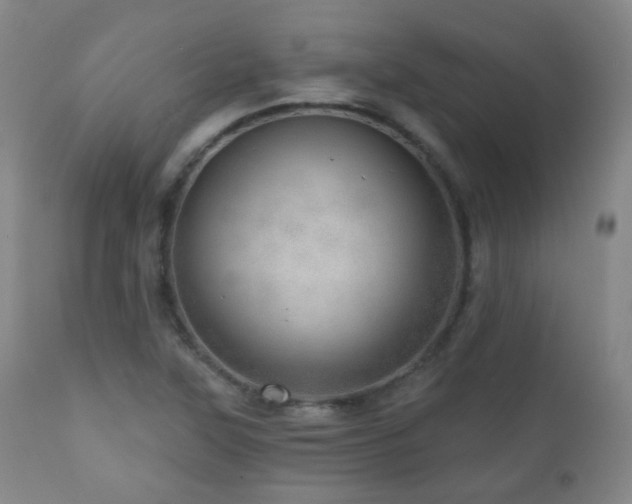 X0000110981315200906191355