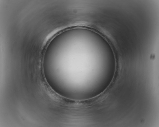 X0000110981316200906191355