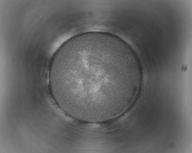 X0000110981317200906191355