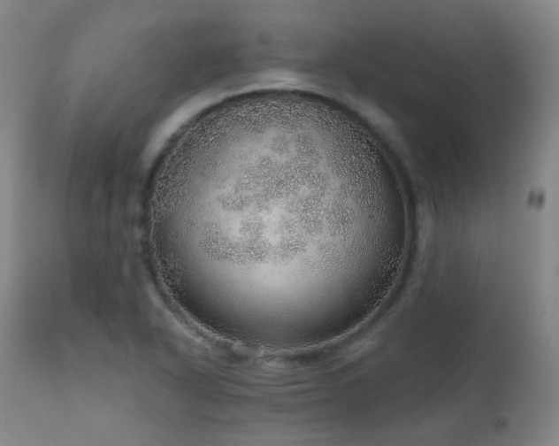 X0000110981318200906191355