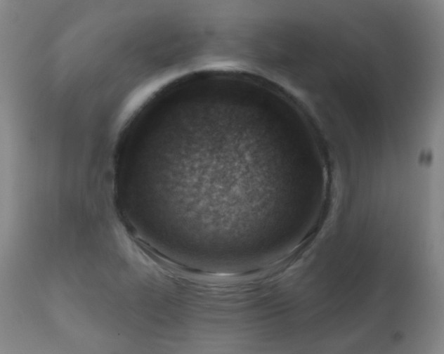 X0000110981319200906191355