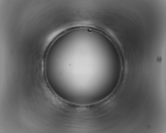 X0000110981320200906191355