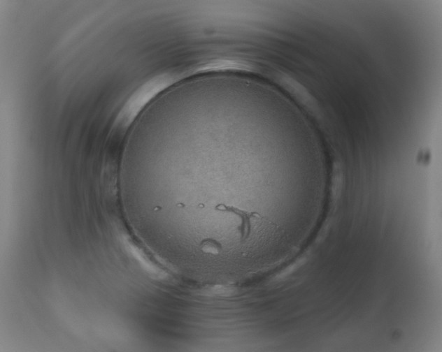 X0000110981321200906191355