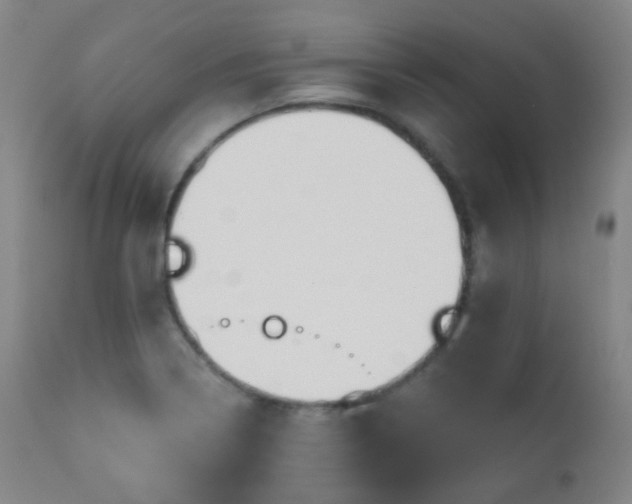 X0000110981322200906191355