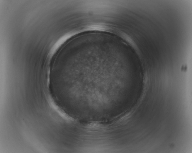 X0000110981323200906191355