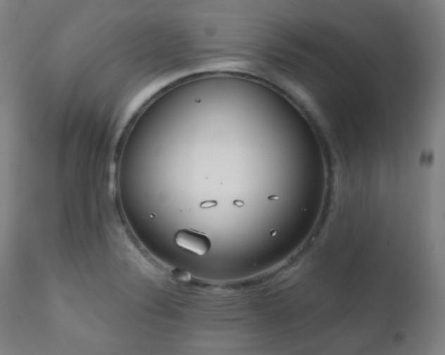 X0000110981324200906191355