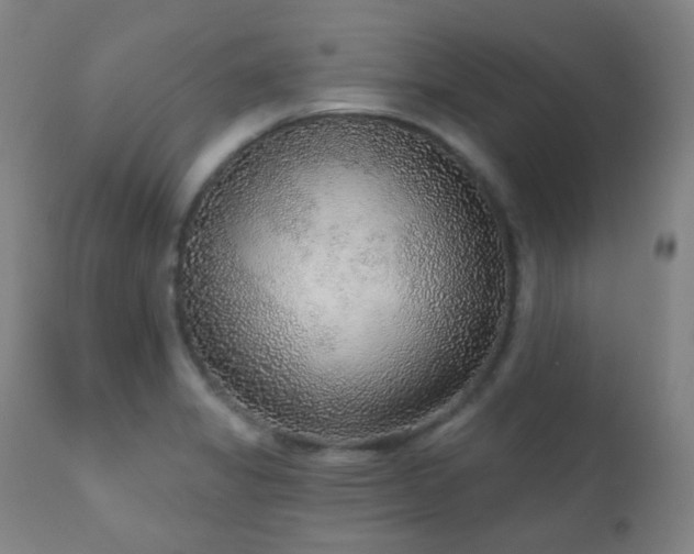 X0000110981325200906191355