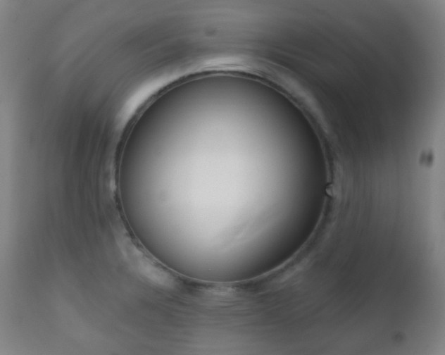 X0000110981328200906191355